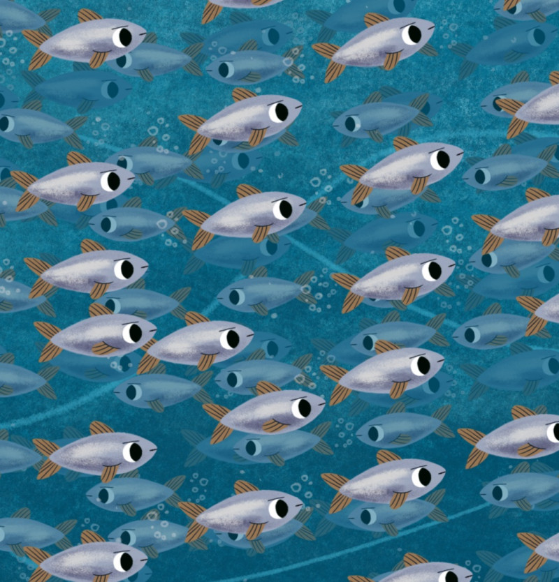 1,2,3 CINÉ // Petits contes sous l’océan