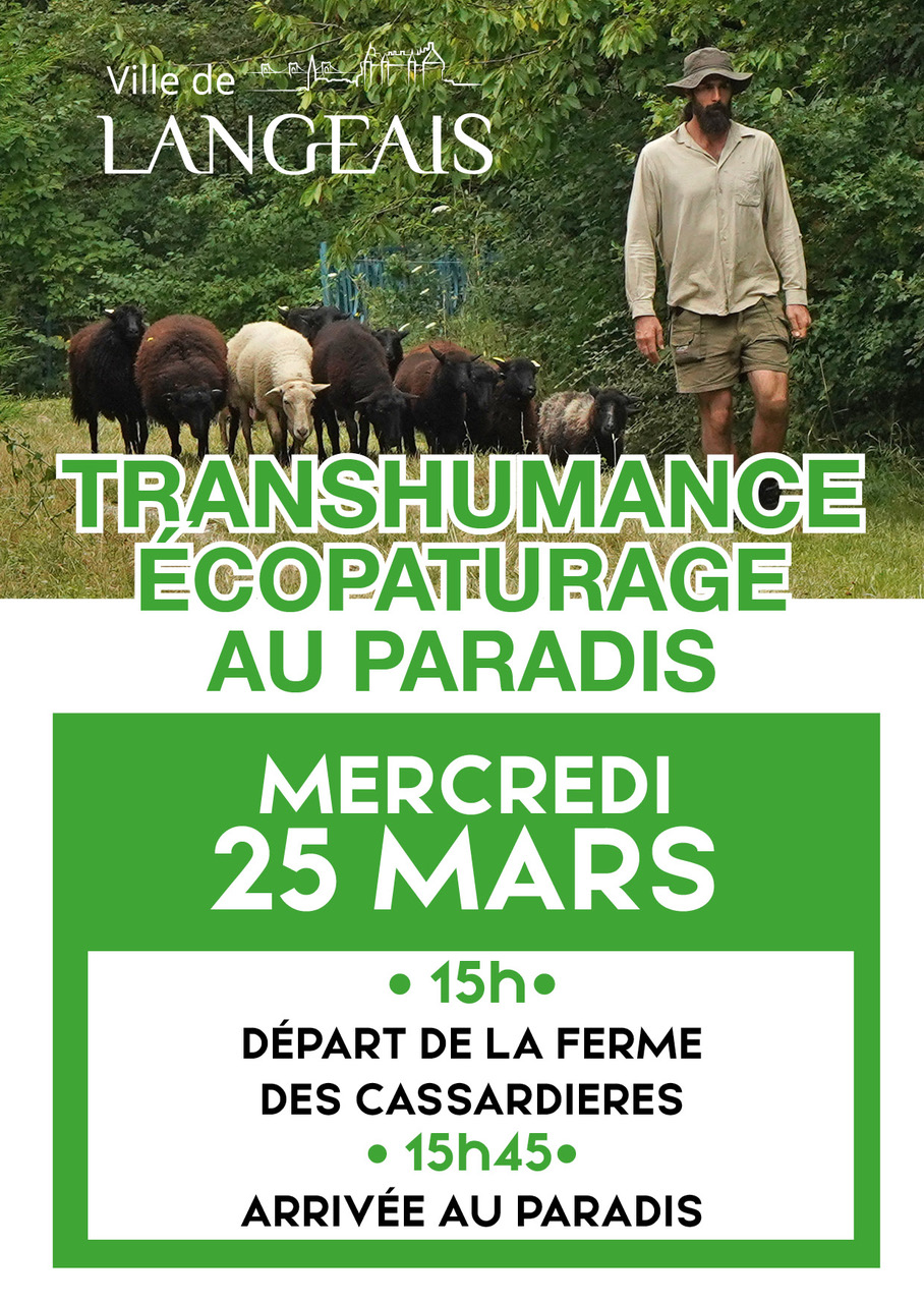 Transhumance écopaturage